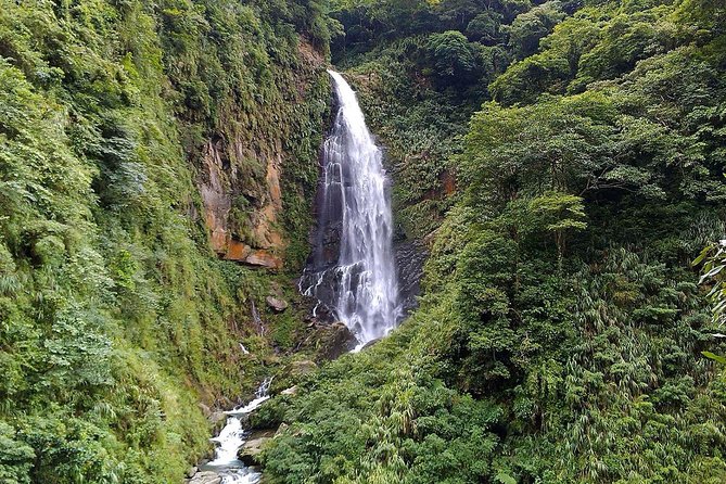 1D Tour to Cingjing Farm from Taichung - Key points to know before you book