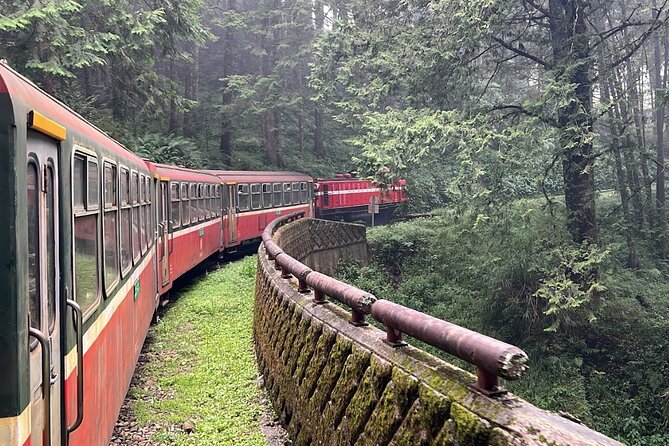 Alishan Day Tour from Chiayi (Incl. Park Entrance) - Why Alishan works best with arranged transport