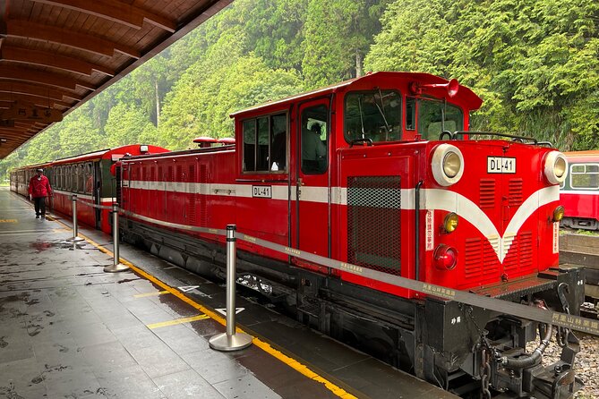 Alishan Day Tour from Chiayi (Incl. Park Entrance) - What makes the forest sights worth your time