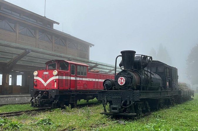 Alishan Day Tour from Chiayi (Incl. Park Entrance) - The optional Alishan train changes the rhythm