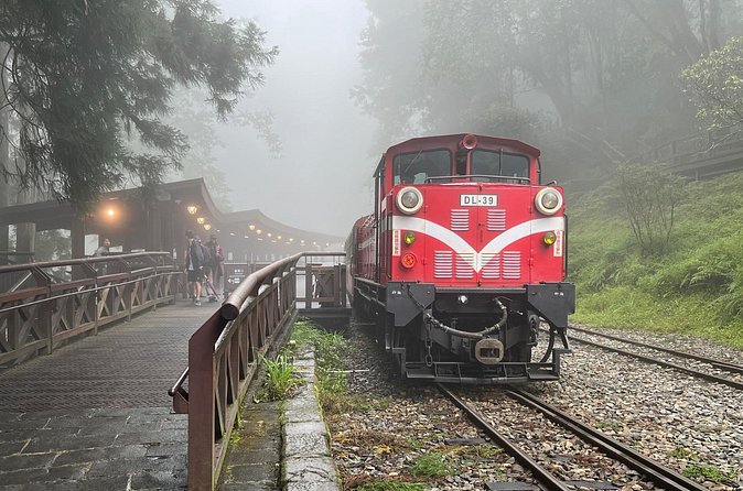 Alishan Day Tour from Chiayi (Incl. Park Entrance) - Who will get the most from this Alishan day trip
