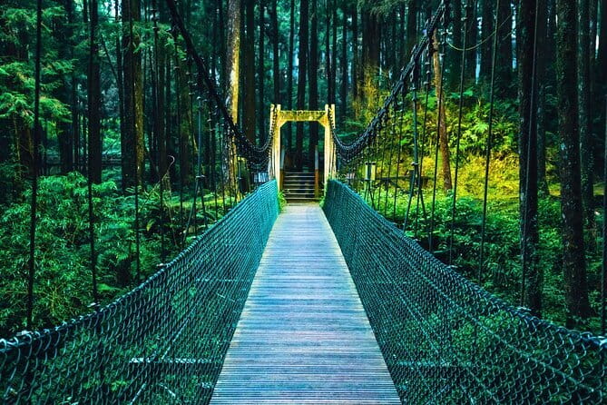 Alishan Join In Day Tour from Taichung (Incl. Park Entrance) - Key points to know before booking