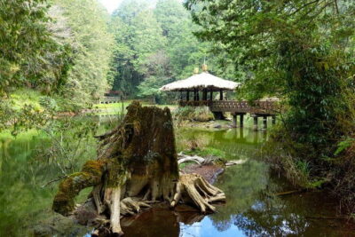 Alishan Join In Day Tour from Taichung (Incl. Park Entrance)