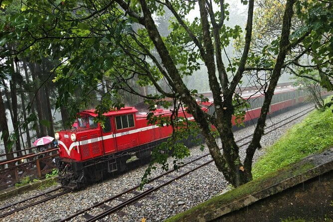 Alishan One Day Tour from Taichung - The long climb from Taichung to Alishan