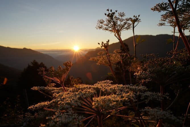 Alishan One Day Tour from Taichung - Three hours in Alishan Forest Recreation Area