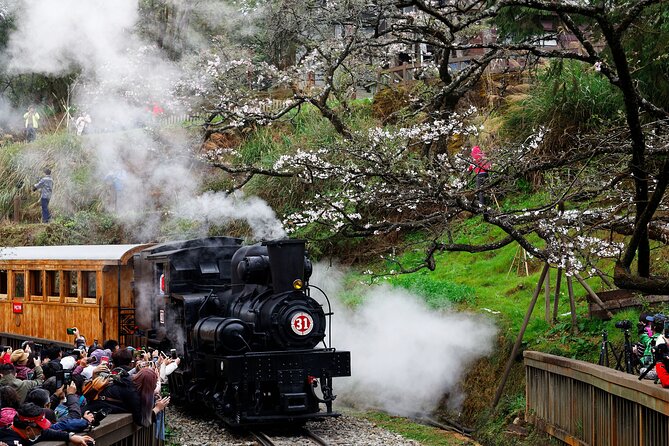 Alishan Taiwan 2 Day Private Tour from Taipei - Sister Lake and Alishan’s quiet side