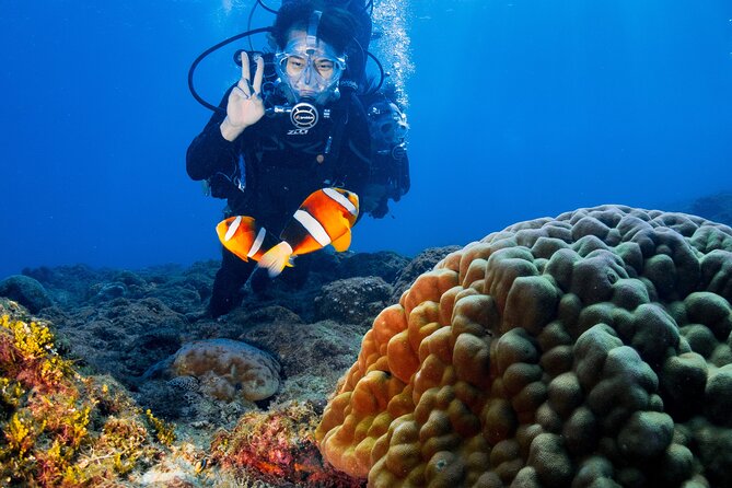 Discover Scuba Diving With Sea Turtles – Xiaoliuqiu, Taiwan - Why Xiaoliuqiu is special for turtle encounters