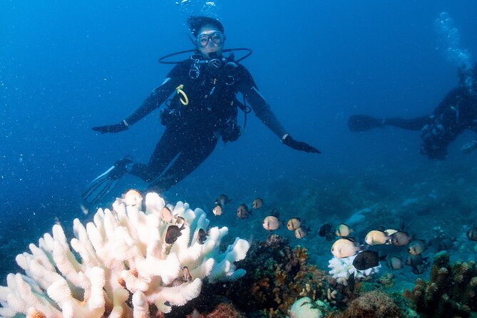 Discover Scuba Diving With Sea Turtles – Xiaoliuqiu, Taiwan - Underwater photography is part of the value