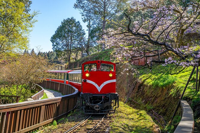 Exclusive 3-Day Sun Moon Lake & Alishan Private Tour - From Taipei to Sun Moon Lake in one morning