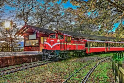 Exclusive 3-Day Sun Moon Lake & Alishan Private Tour