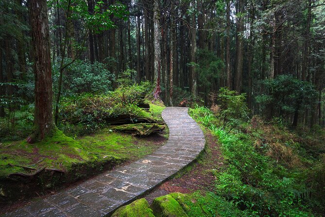 Exclusive 3-Day Sun Moon Lake & Alishan Private Tour - Hinoki Village in Chiayi