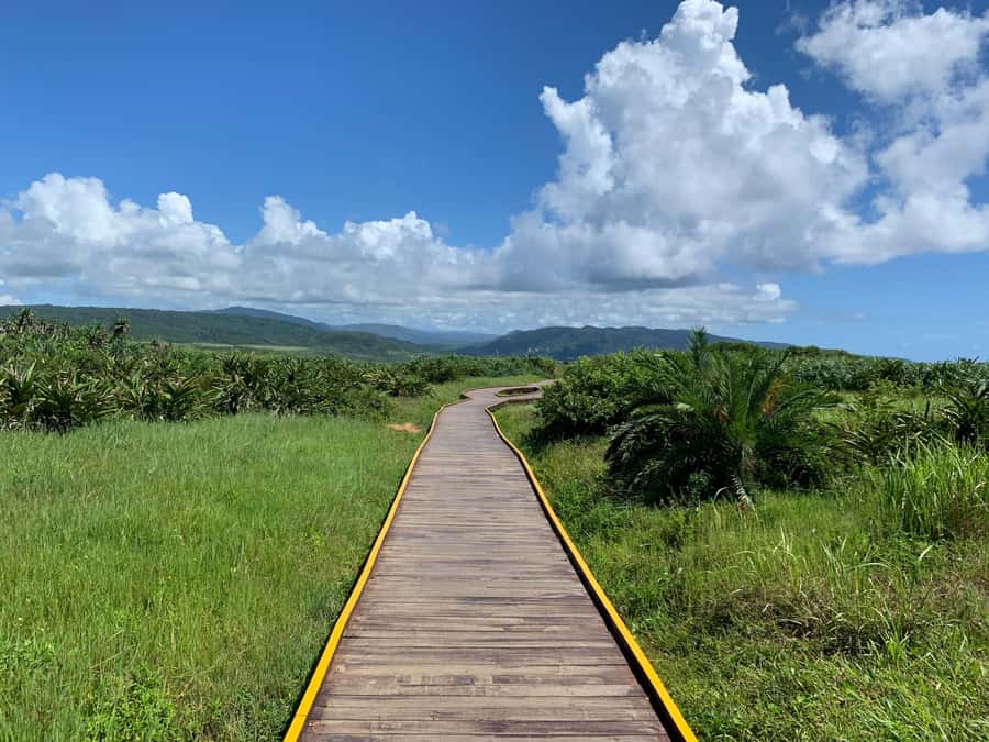 From Kaohsiung: Kenting & Ocean Coast Private Day Tour - A comfortable start with a private driver-guide