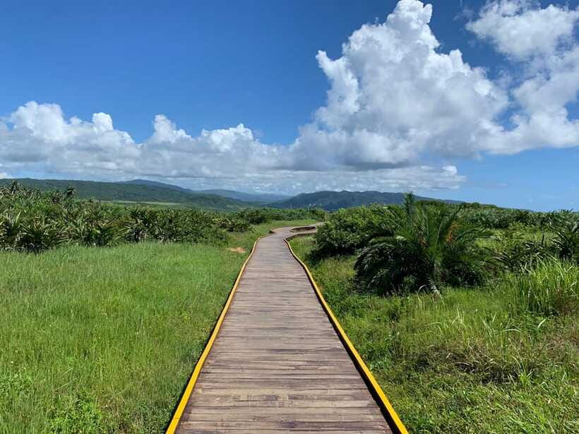 From Kaohsiung: Kenting & Ocean Coast Private Day Tour - Longpan Park: the day’s broadest view