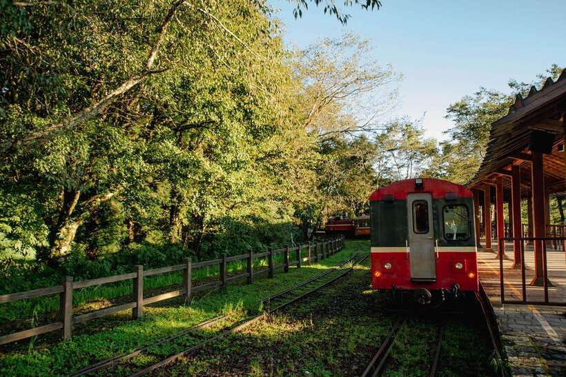 From Taipei City: 3-Day Sun Moon Lake & Alishan Private Tour - What the private vehicle and guide add