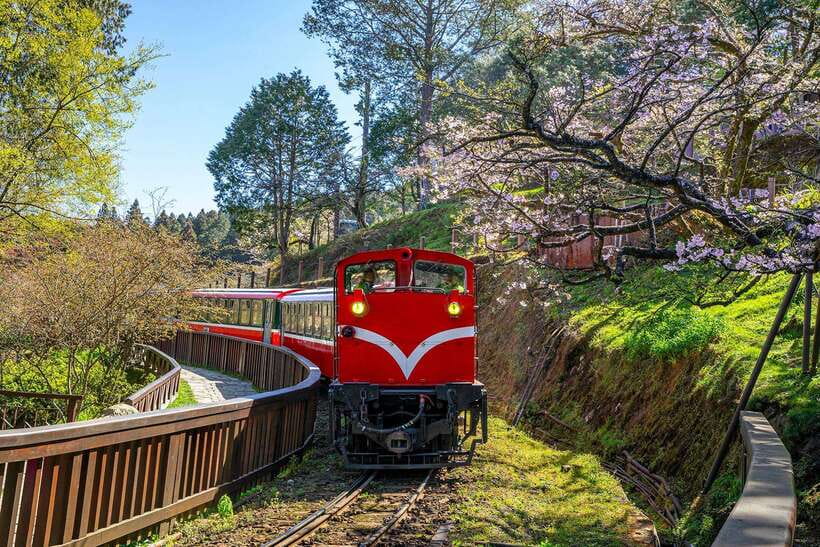 From Taipei City: 3-Day Sun Moon Lake & Alishan Private Tour - Who should book this experience?