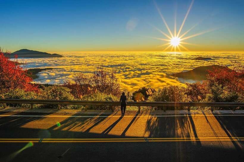From Taipei City: 3-Day Sun Moon Lake & Alishan Private Tour - Day 1: Taipei to Sun Moon Lake