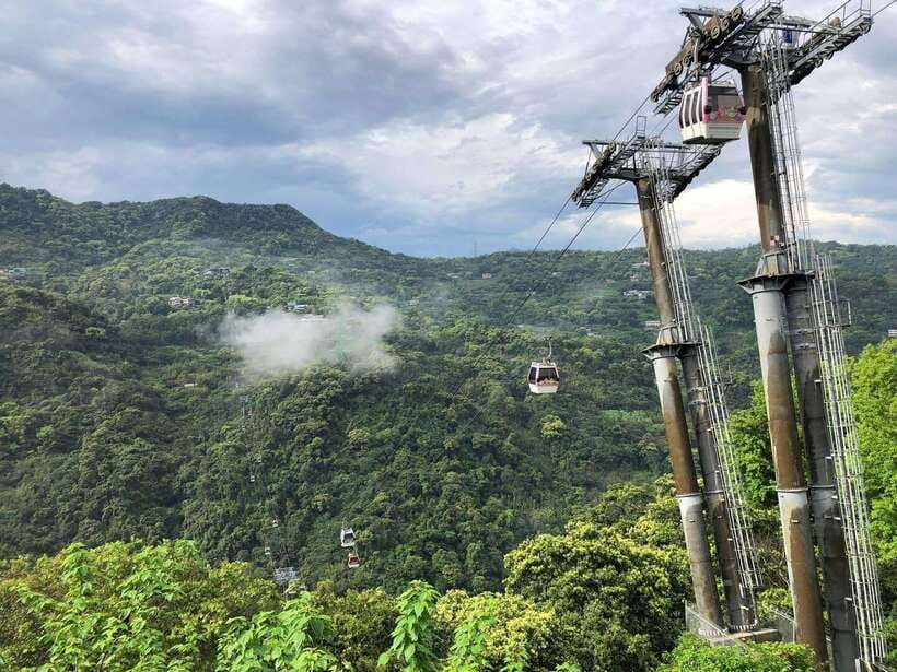 From Taipei: Pinglin Tea Culture and Maokong Guided Day Tour - Key points to know before booking