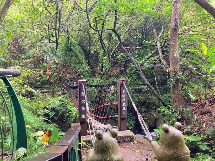 From Taipei: Pinglin Tea Culture and Maokong Guided Day Tour - The Taipei Tea Promotion Center for Tieguanyin and Baozhong