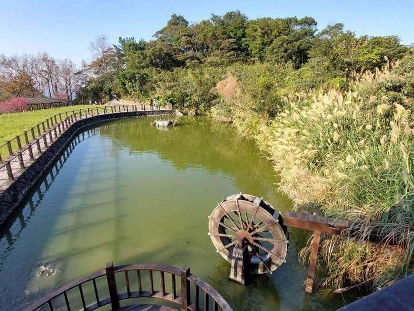From Taipei: Pinglin Tea Culture and Maokong Guided Day Tour - Lunch in Maokong, with tea on the side