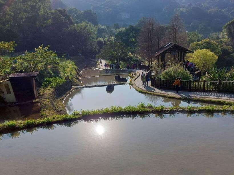 From Taipei: Pinglin Tea Culture and Maokong Guided Day Tour - Pinglin Tea Museum and the story behind the cup