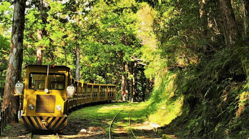 From Taipei: Taipingshan National Forest Private Day Tour - Key points before you book