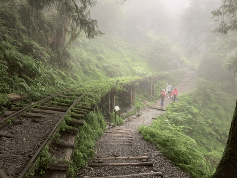 From Taipei: Taipingshan National Forest Private Day Tour - Why Taipingshan makes a good escape from Taipei