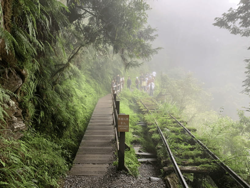 From Taipei: Taipingshan National Forest Private Day Tour - Jianqing Huaigu Trail and the old forest world