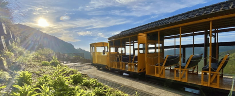 From Taipei: Taipingshan National Forest Private Day Tour - Who should book this Taipingshan day tour