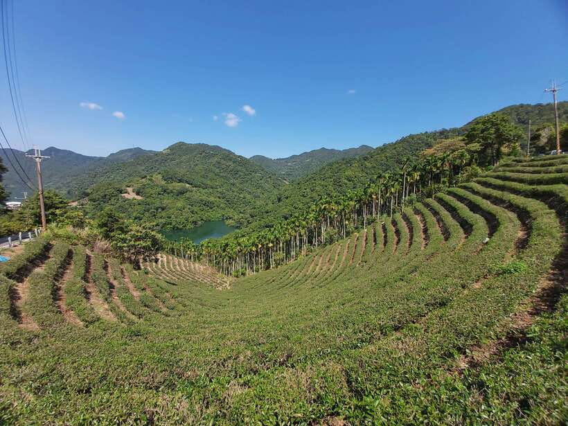 From Taipei: Thousand Island Lake and Pinglin Tea Plantation - Why this half-day trip works so well from Taipei