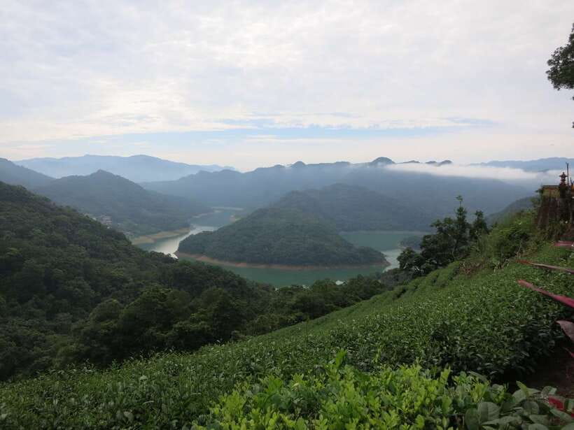 From Taipei: Thousand Island Lake and Pinglin Tea Plantation - Bagua Tea Garden and the geometry of the fields