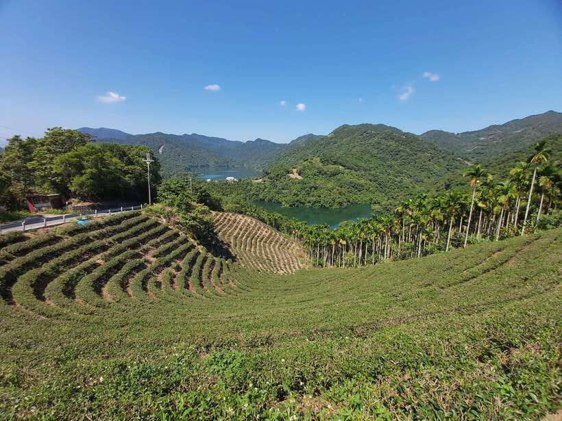 From Taipei: Thousand Island Lake and Pinglin Tea Plantation - Inside Pinglin Tea Museum