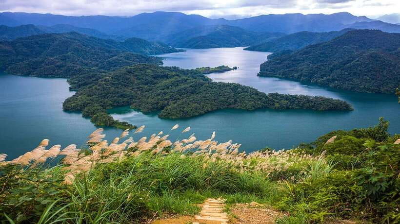 From Taipei: Thousand-Island Lake & Tea Museum Private Tour - Tea tasting that feels connected to place