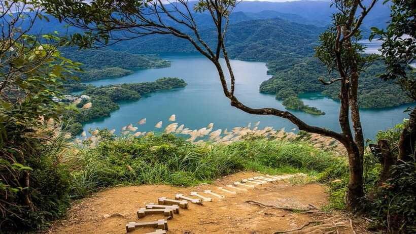 From Taipei: Thousand-Island Lake & Tea Museum Private Tour - Should you book the Thousand Island Lake tea tour?