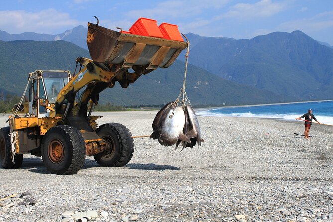 Full-Day Private Taroko National Park Tour from Hualien City - What the guide adds beyond transportation
