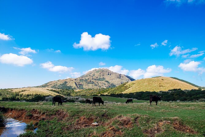 Full-day Tour in Yangmingshan & Beitou from Taipei (Small Group) - Yangmingshan National Park and its volcanic hills