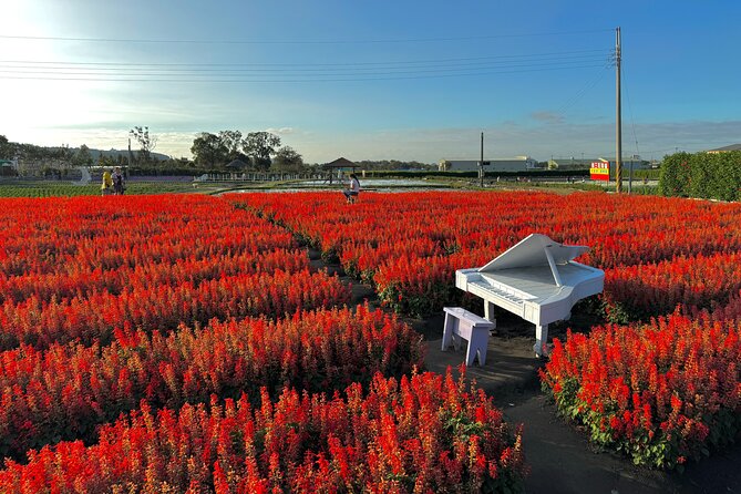 Gaomei Wetlands, Rainbow Village, Miyahara & Zhongshe from Taipei - Chun Shui Tang and Taiwan’s bubble tea story