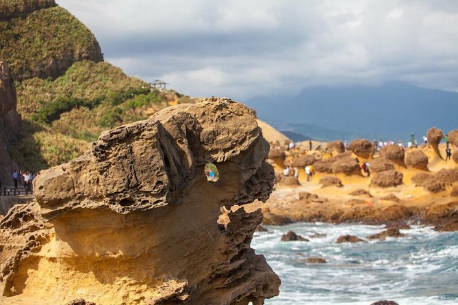 Half Day Private Tour to Yangmingshan National Park and Yehliu Geopark - Yangmingshan’s cooler mountain air