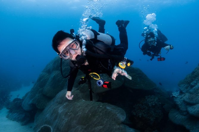 Kenting, Taiwan｜PADI Basic Diving License Course｜Taiwan Diving Open Water Course - Day three: four marine sessions and the final certificate