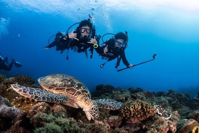 Kenting, Taiwan｜PADI Basic Diving License Course｜Taiwan Diving Open Water Course - Kenting National Park and the southern coast