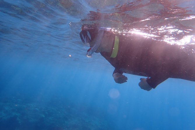 Kenting, Taiwan｜Snorkeling Free underwater photography One-on-one with instructor｜Taiwan Diving Snorkeling - Safety, insurance, and the limits of the program