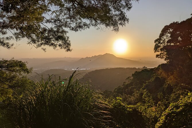 One Day Hike around Taipei's Yangmingshan National Park - Qingtiangang grassland and the water buffalo warmup