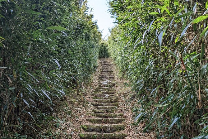 One Day Hike around Taipei's Yangmingshan National Park - Qixingshan and the tougher climb