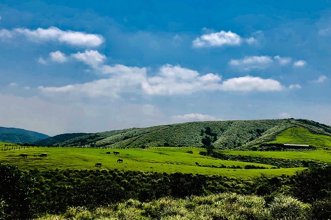 One-day private chartered car tour in Taipei: Yehliu, Jiufen, Pingxi, North Coast popular attractions with chartered car, professional Chinese/English driver - Price, group size, and what you actually receive