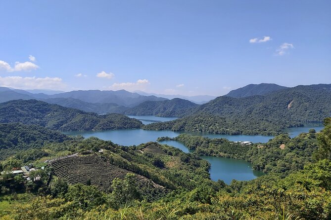 Pinglin Tea Culture & Maokong Day Tour from Taipei - Key points before you book