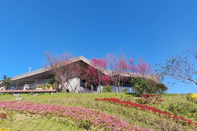 Pinglin Tea Culture & Maokong Day Tour from Taipei - Elephant Mountain and the view back to Taipei