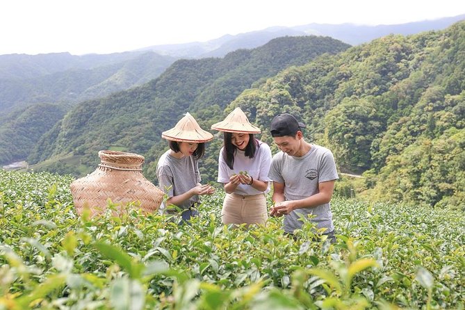 Private 1-Day Tea Experience in Taipei - Key points at a glance