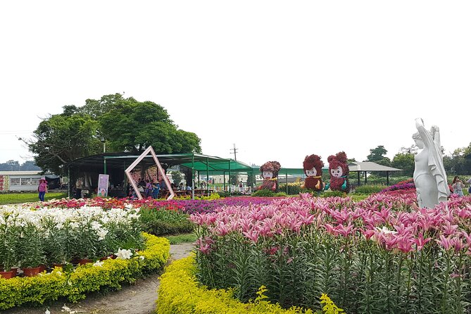 Private Day tour to Sun Moon Lake from Taipei - What guides add to a private tour