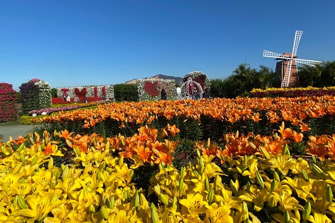 Private Taichung Instagram Day Tour from Taipei - What the 11-hour schedule feels like