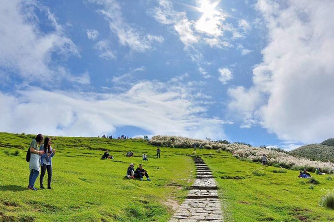 Private Yangmingshan & Beitou Tour from Taipei with Pickup - Key points to know before booking