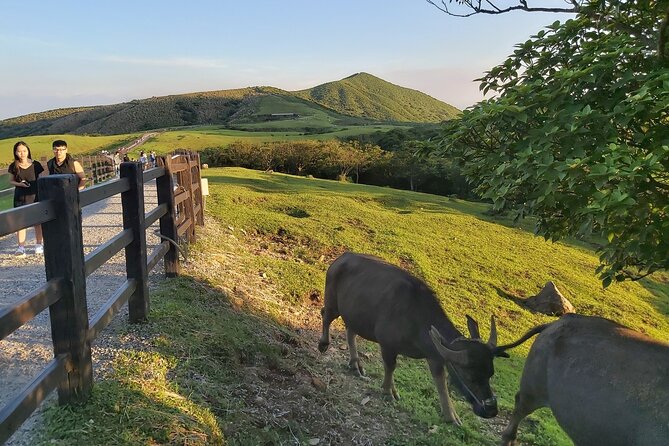 Private Yangmingshan National Park Hiking Day Tour from Taipei - What the private vehicle and guide add